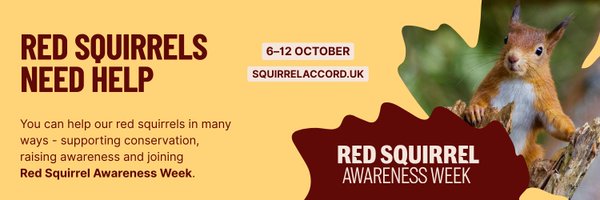 SquirrelAccord Profile Banner