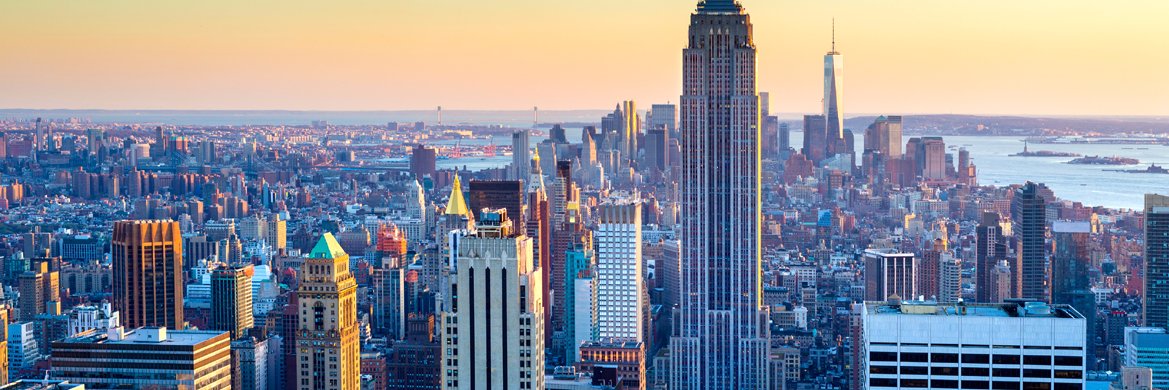 LsscNY's profile banner image