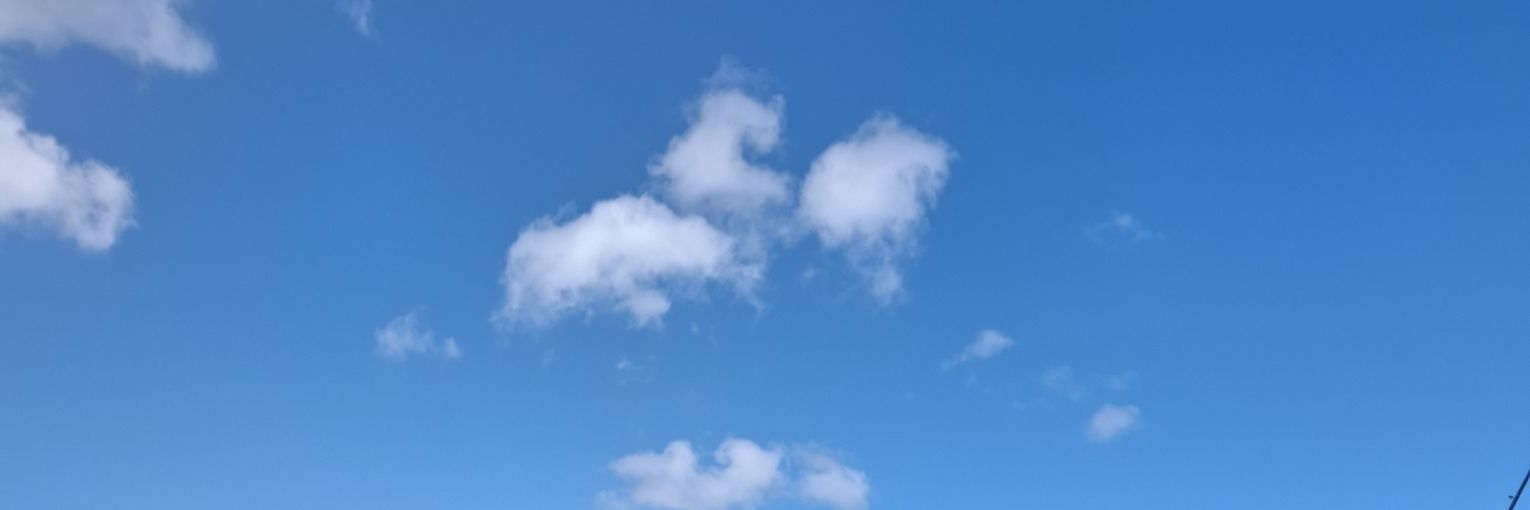 blondz88's profile banner image