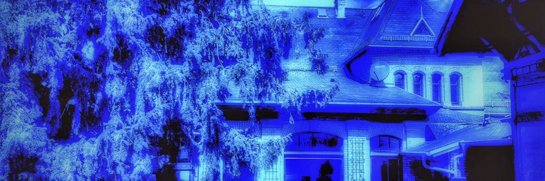 Nicole Leidenfrost banner