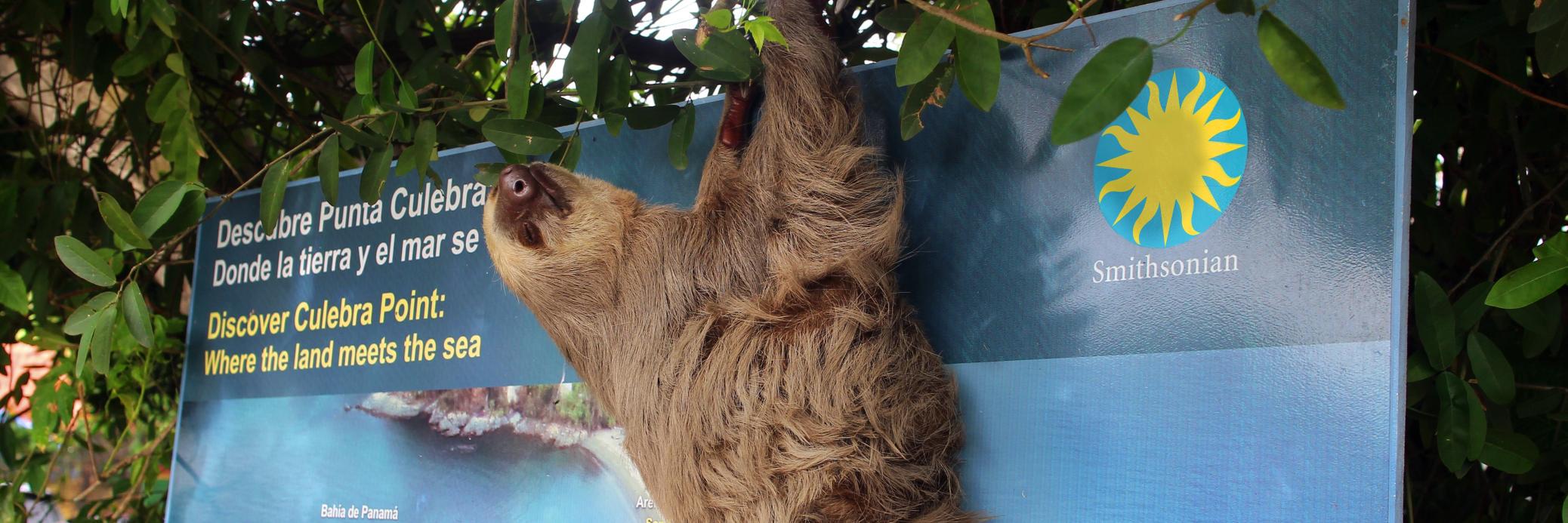 PuntaCulebra's profile banner image
