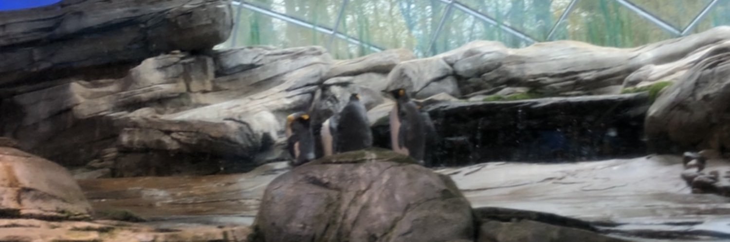 pingu🇮🇹🇮🇹 banner