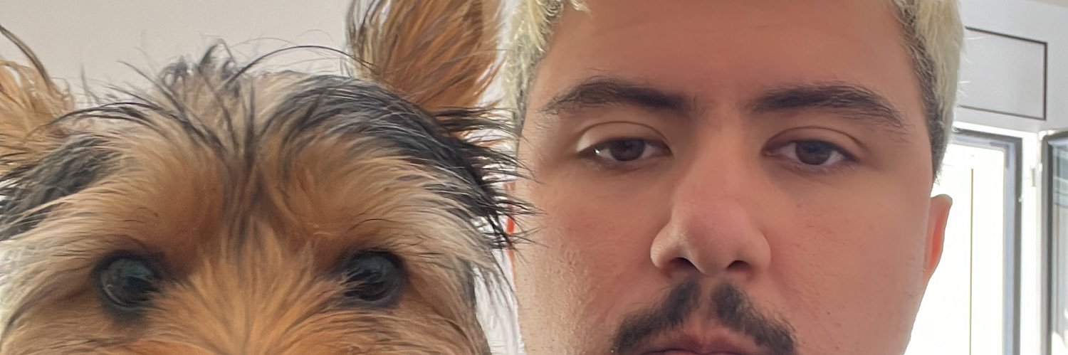 Leodicov's profile banner image