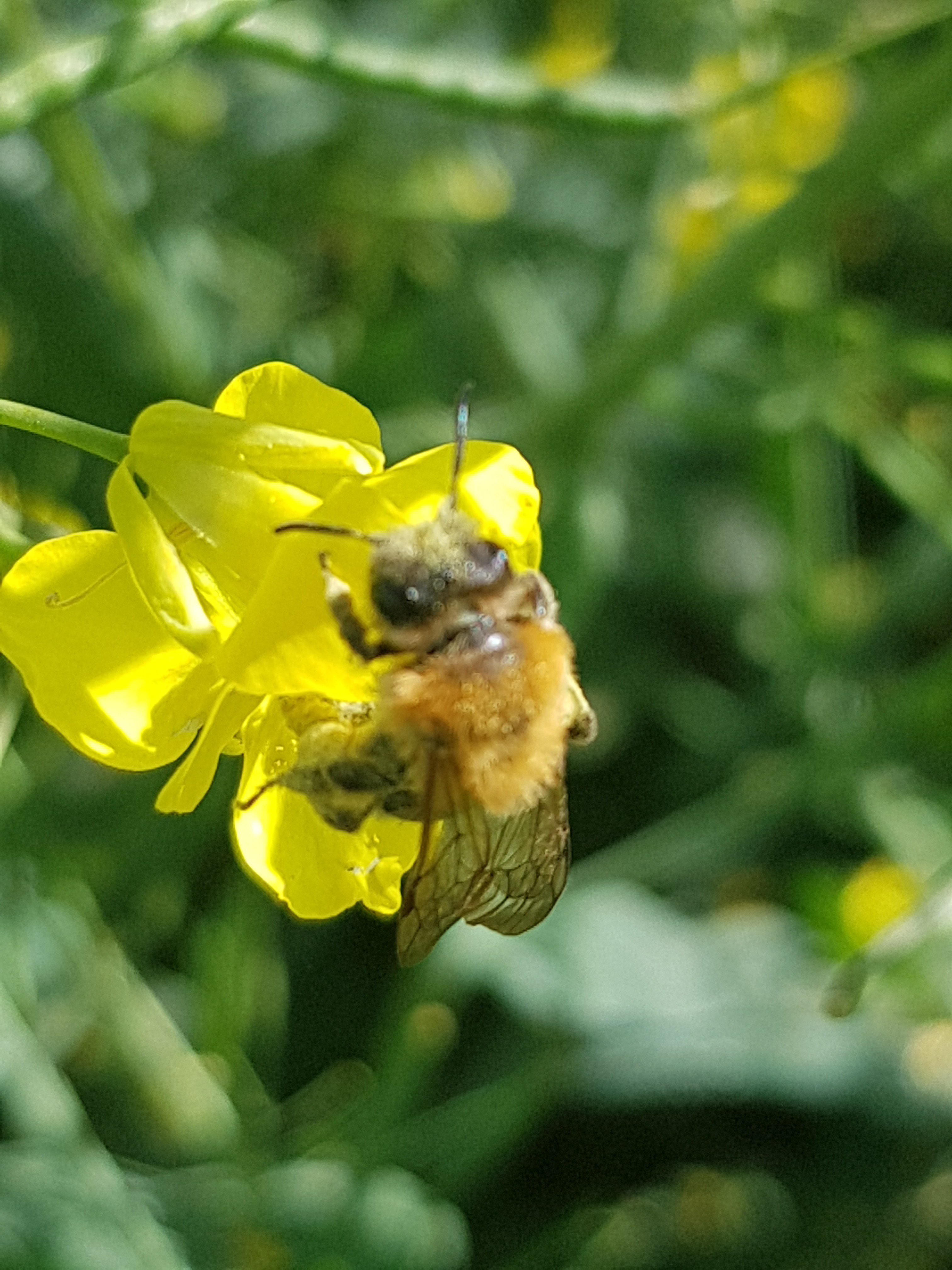 Christophe Rativeau banner