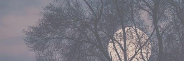 NarcZapper's profile banner image