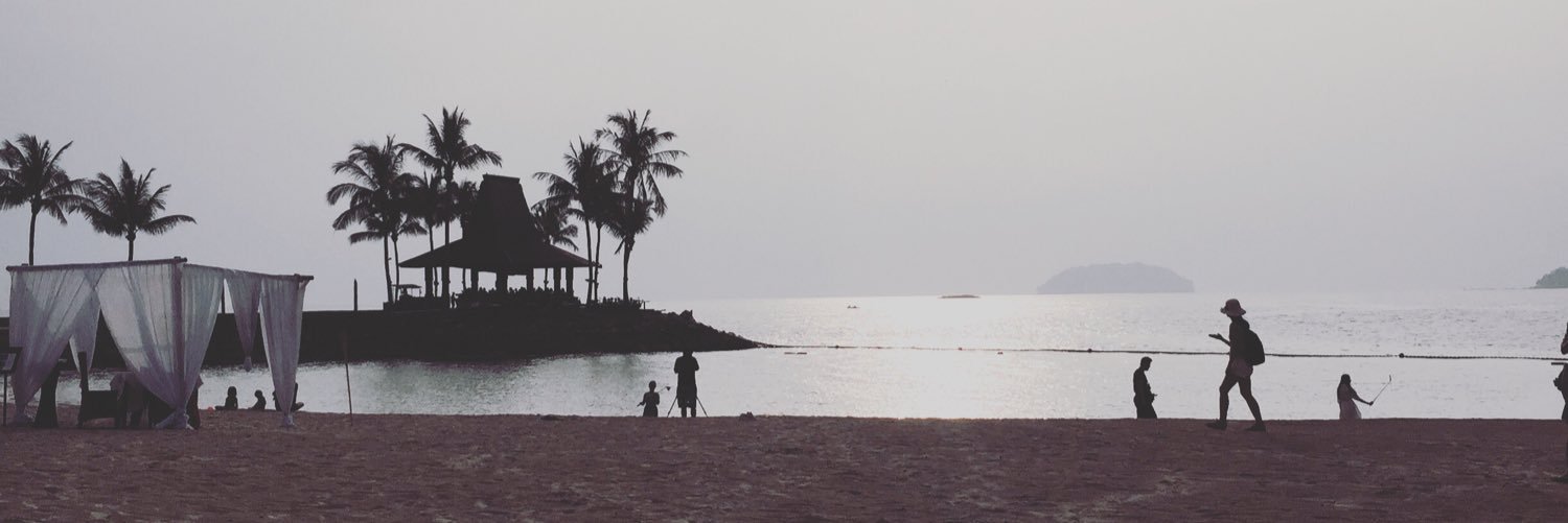 alireesh's profile banner image