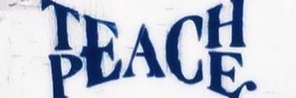 Dolphinseablue's profile banner image