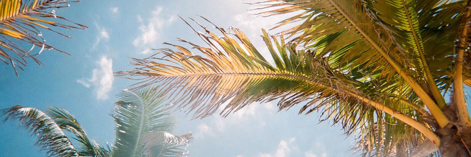 posverdadrd's profile banner image