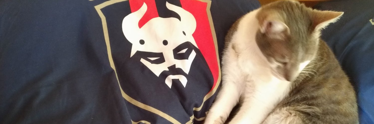 adidi2001's profile banner image
