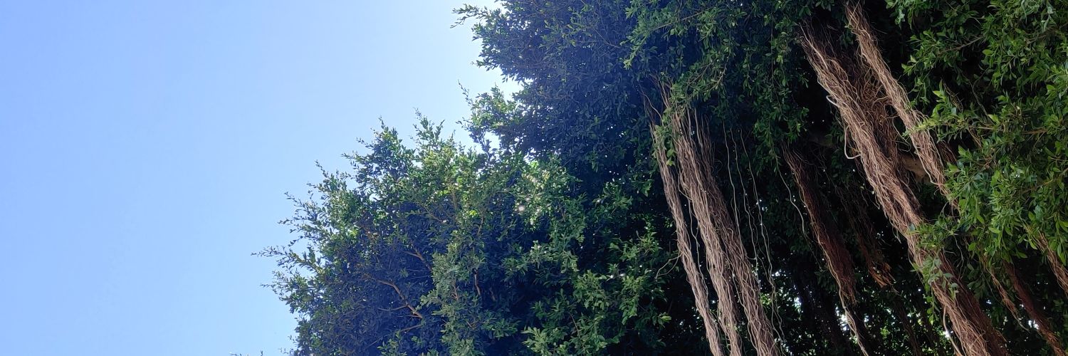 mondoreyo's profile banner image