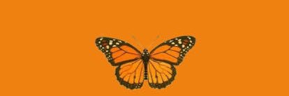 cateectavares's profile banner image