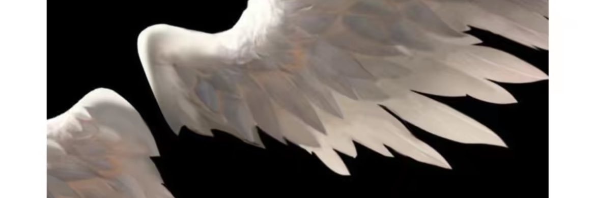 codeinecrisps's profile banner image