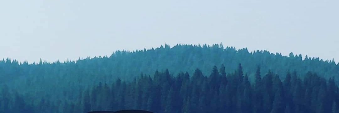 theheathers's profile banner image