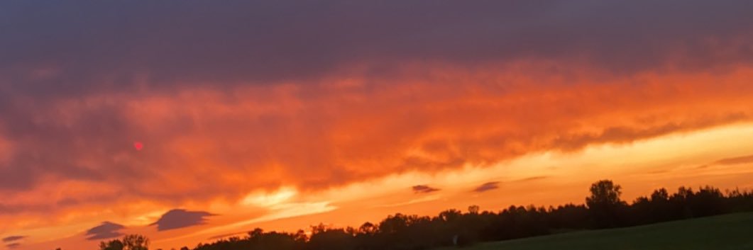 Rachael202012's profile banner image