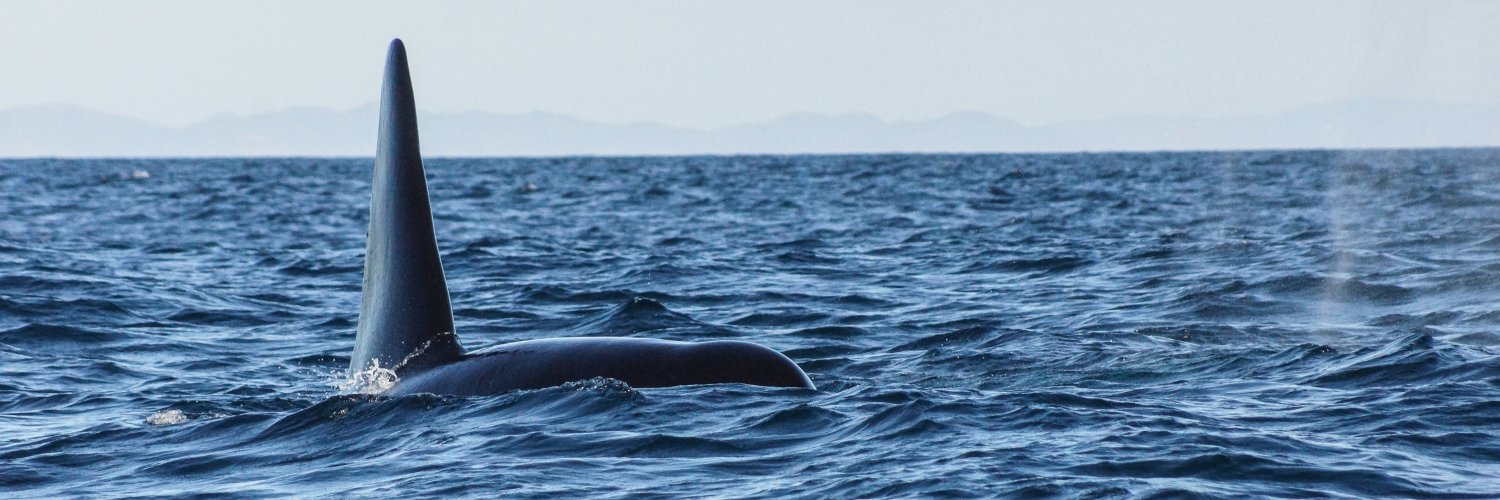 James Robbins banner