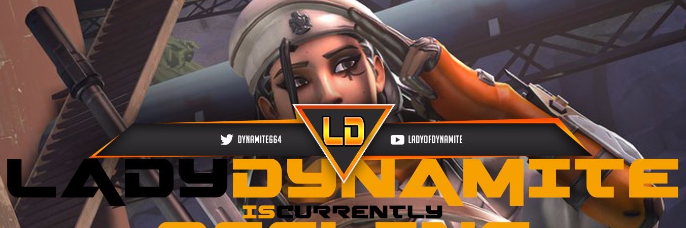 Lady Dynamite banner