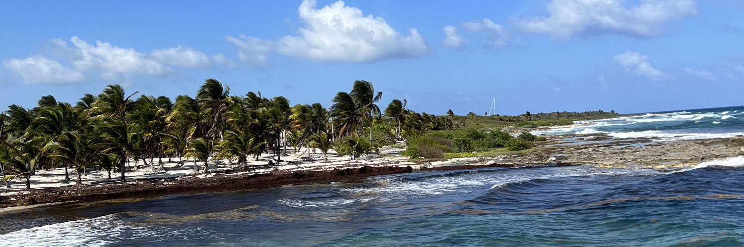 Megan Kornegay banner