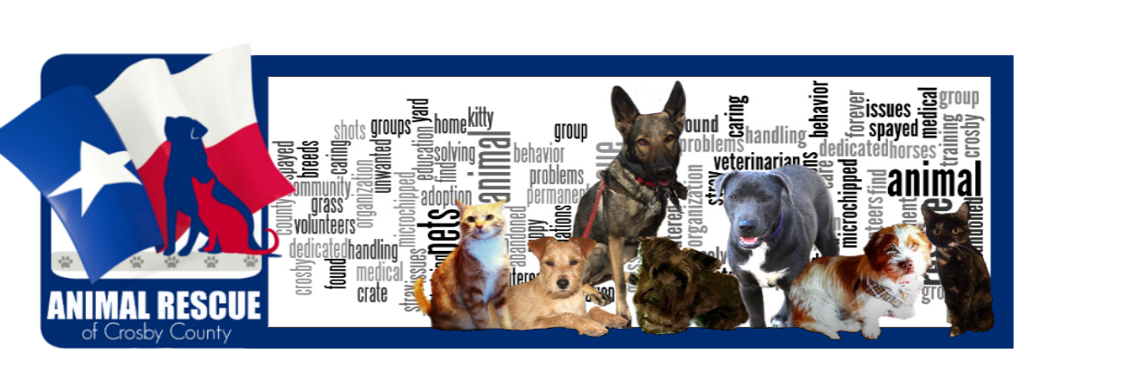 ARCC_TEXAS's profile banner image