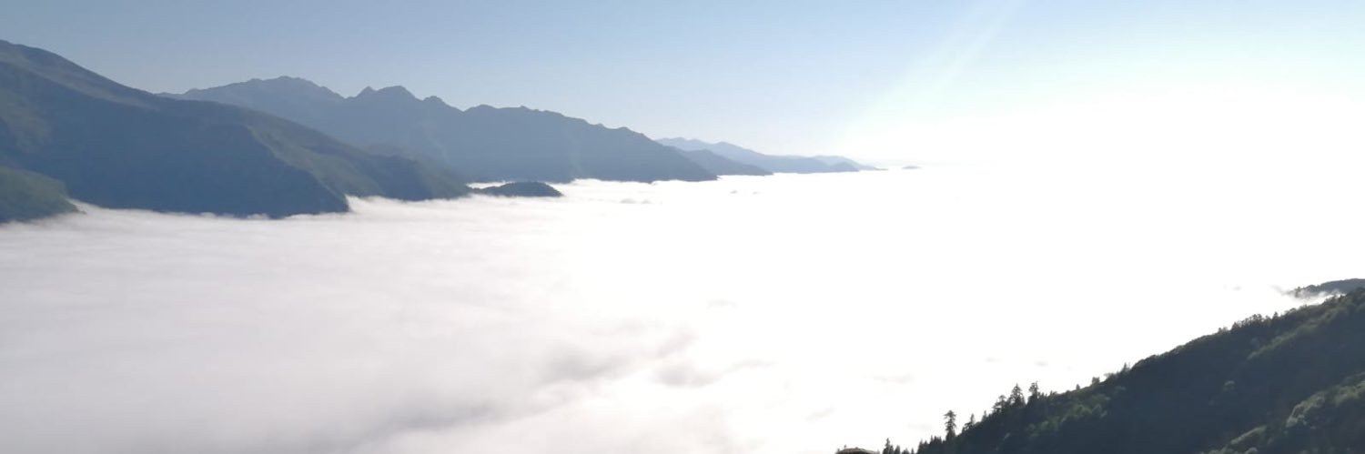 elfzdmrr2's profile banner image