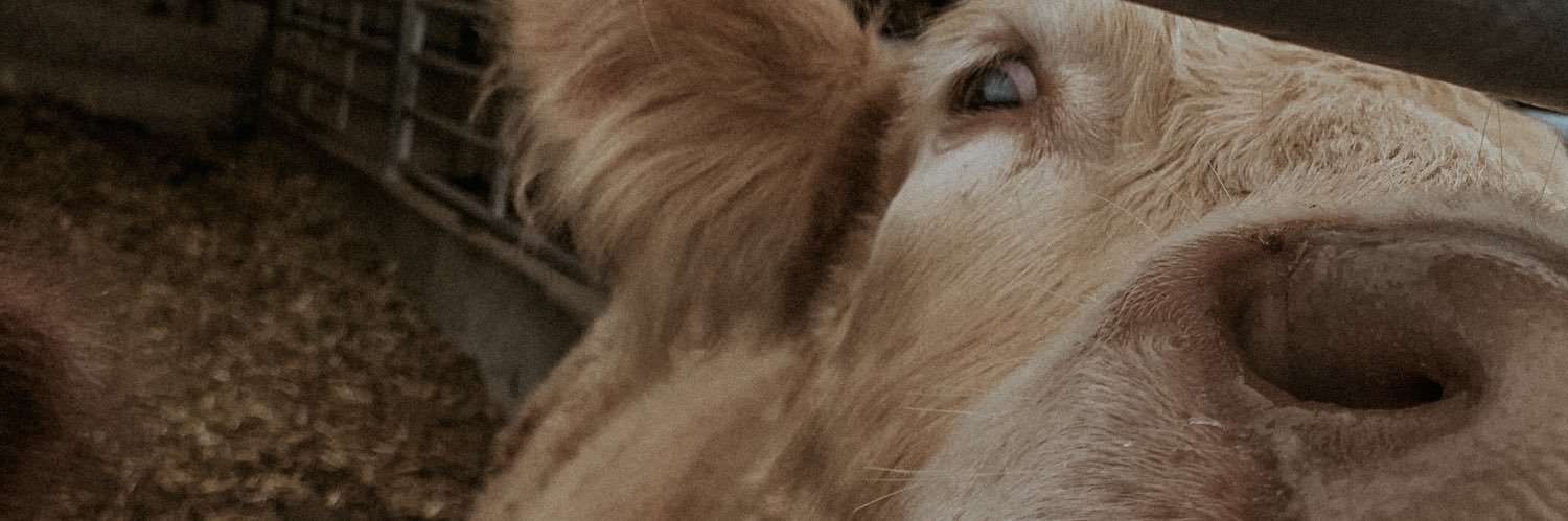 emmarwillis9's profile banner image