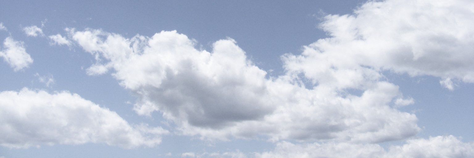 scarysalmon's profile banner image
