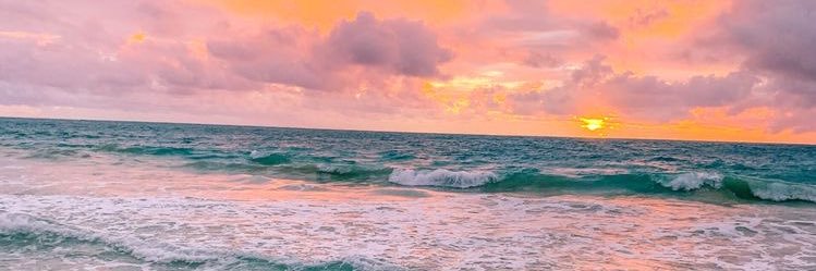 Katie banner