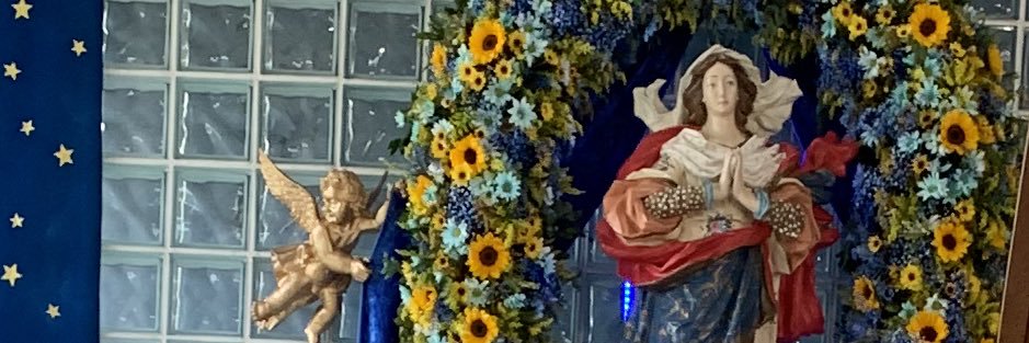 lubserpa's profile banner image