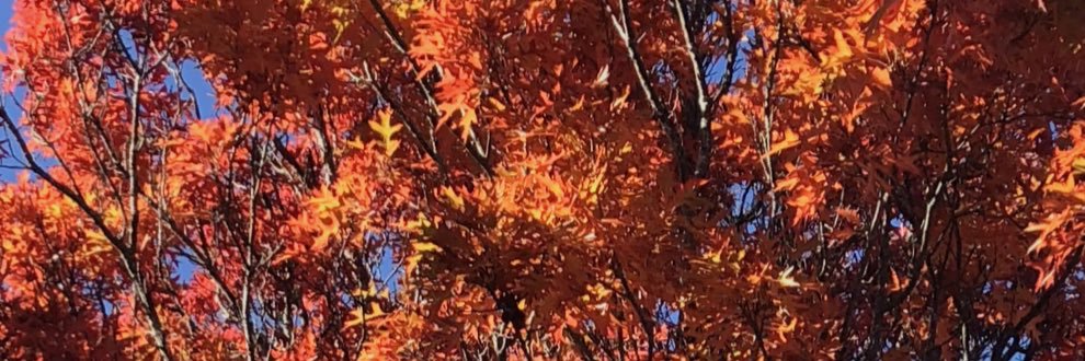 mlove1658's profile banner image