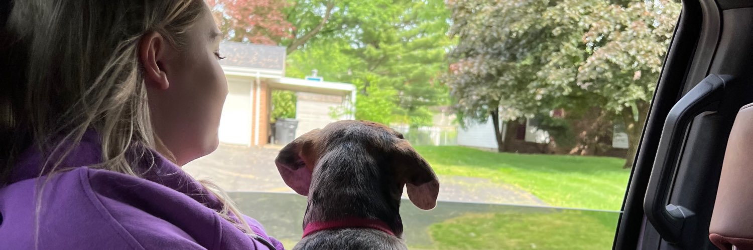 Lexi Thompson banner