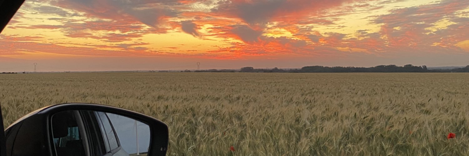 FeezixBR's profile banner image