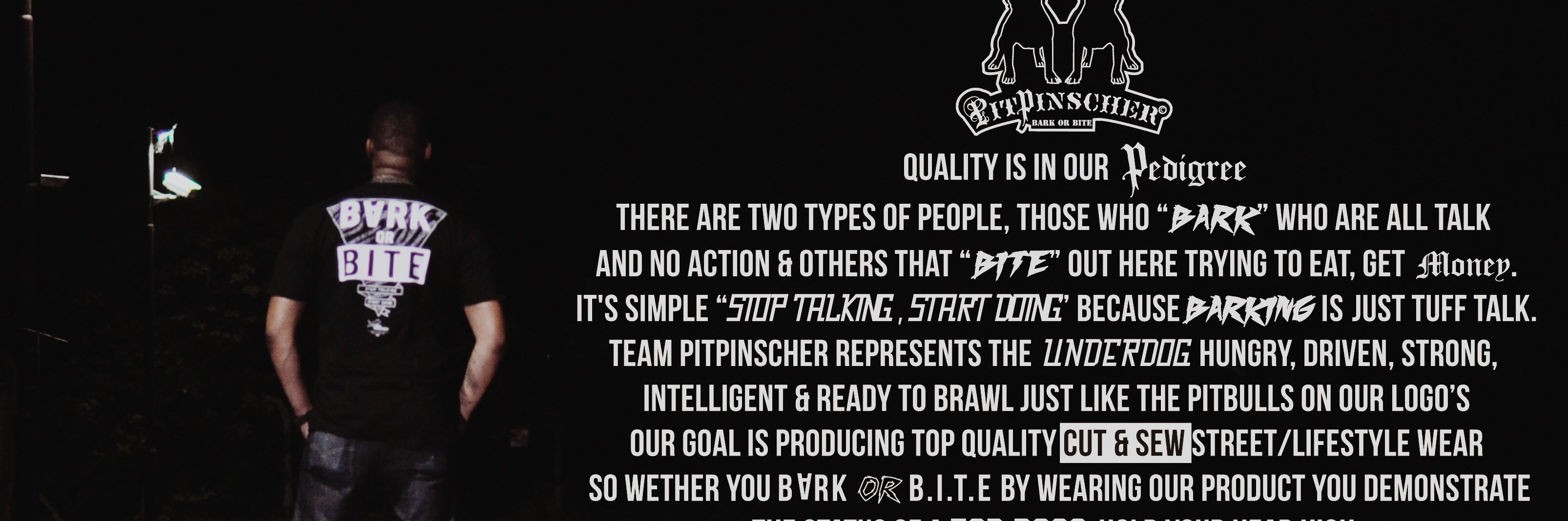 Pitpinscher's profile banner image