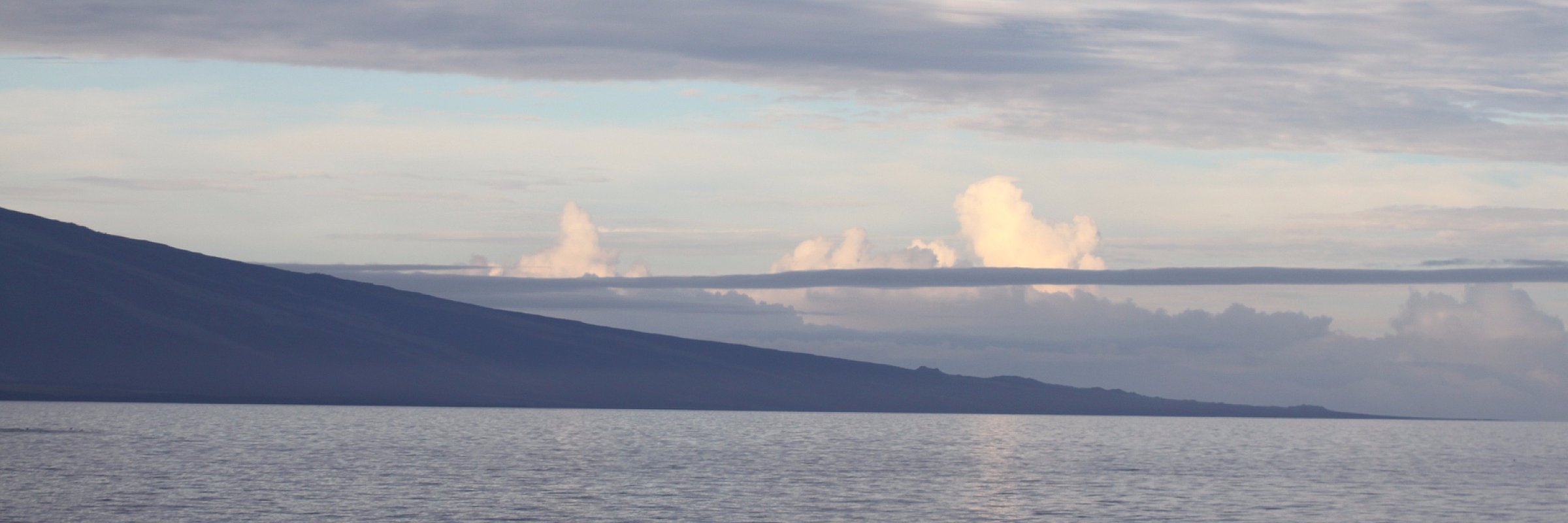 J. Correll Wright banner