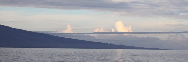 jcorrellwright Profile Banner