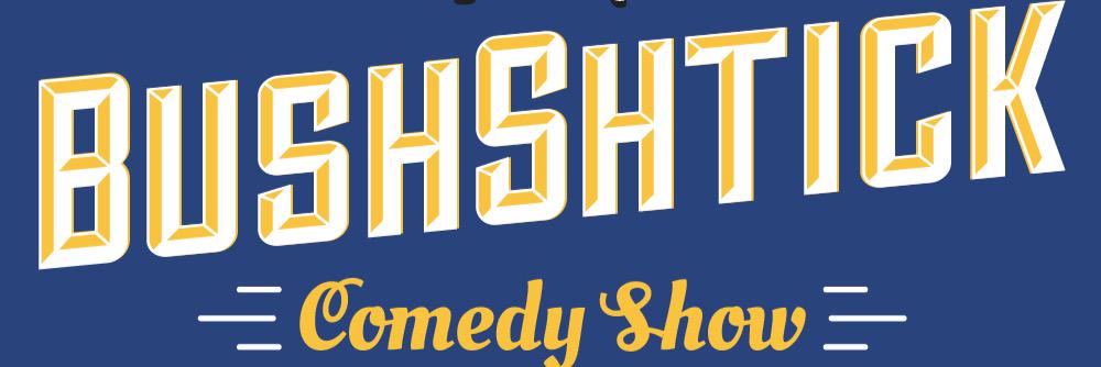 BushShtick's profile banner image