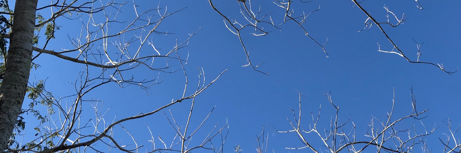 BARdoJO's profile banner image