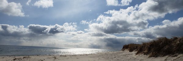 rief61 Profile Banner