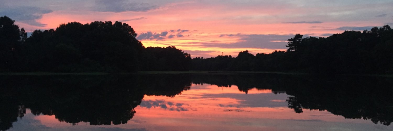 Caitevv's profile banner image