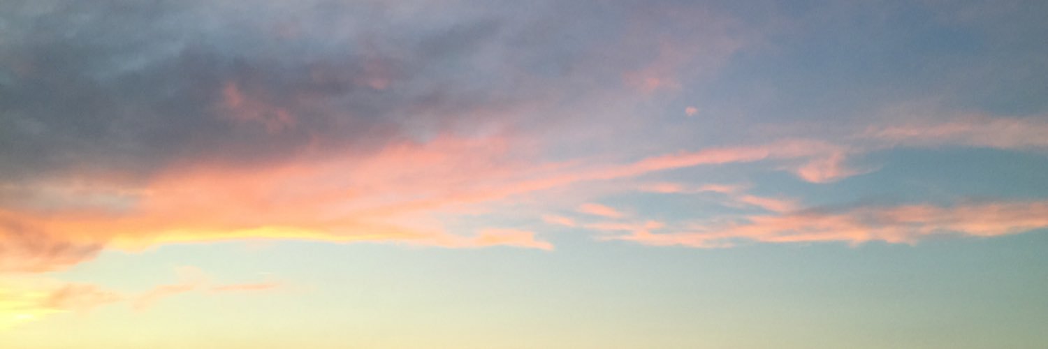 Stephanie Haumont banner