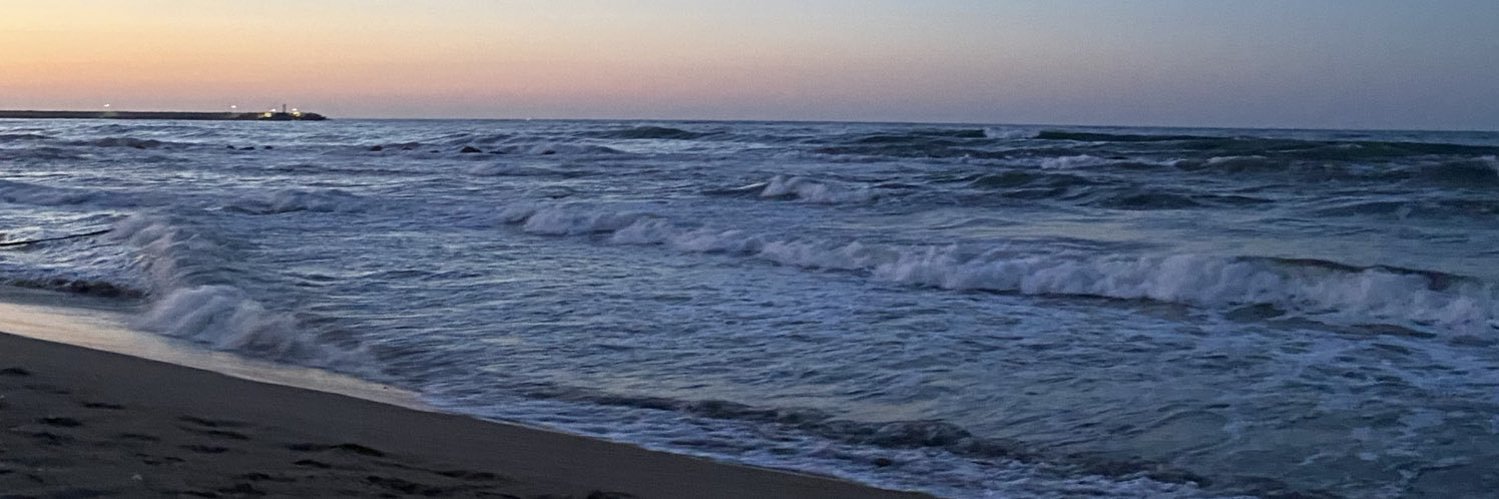 Mehmet Süzen 🍥 banner