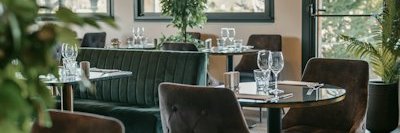 Mrs. Wendell Pfeffer banner