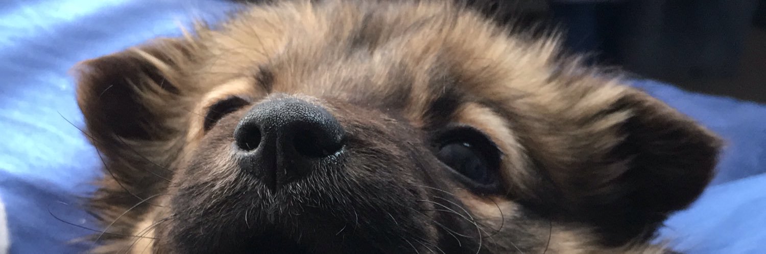 ignacastro5's profile banner image