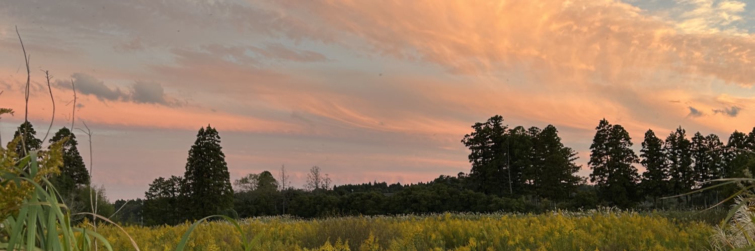 marroneto's profile banner image