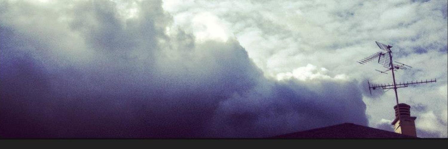 NathalieHamon banner