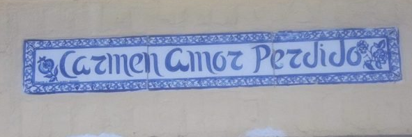 anitaferrergome's profile banner image
