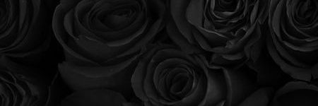 makisofia00's profile banner image