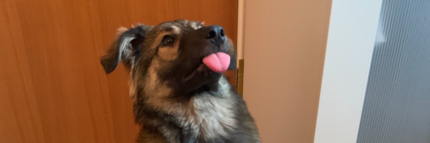 emmadaviesUX's profile banner image