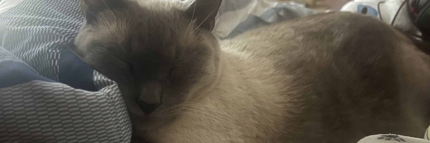 RuizMercedes14's profile banner image