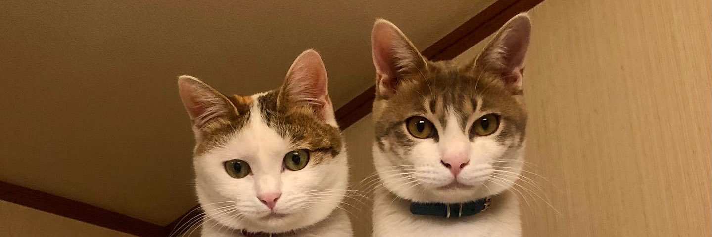 Ksuvi's profile banner image