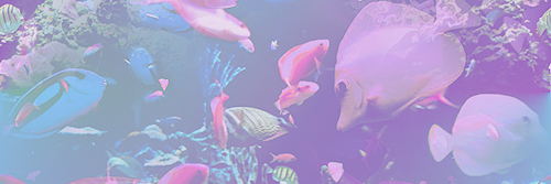 legscellent's profile banner image