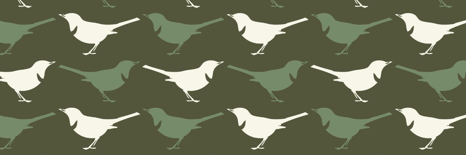 Ousel & Spur Pizza banner